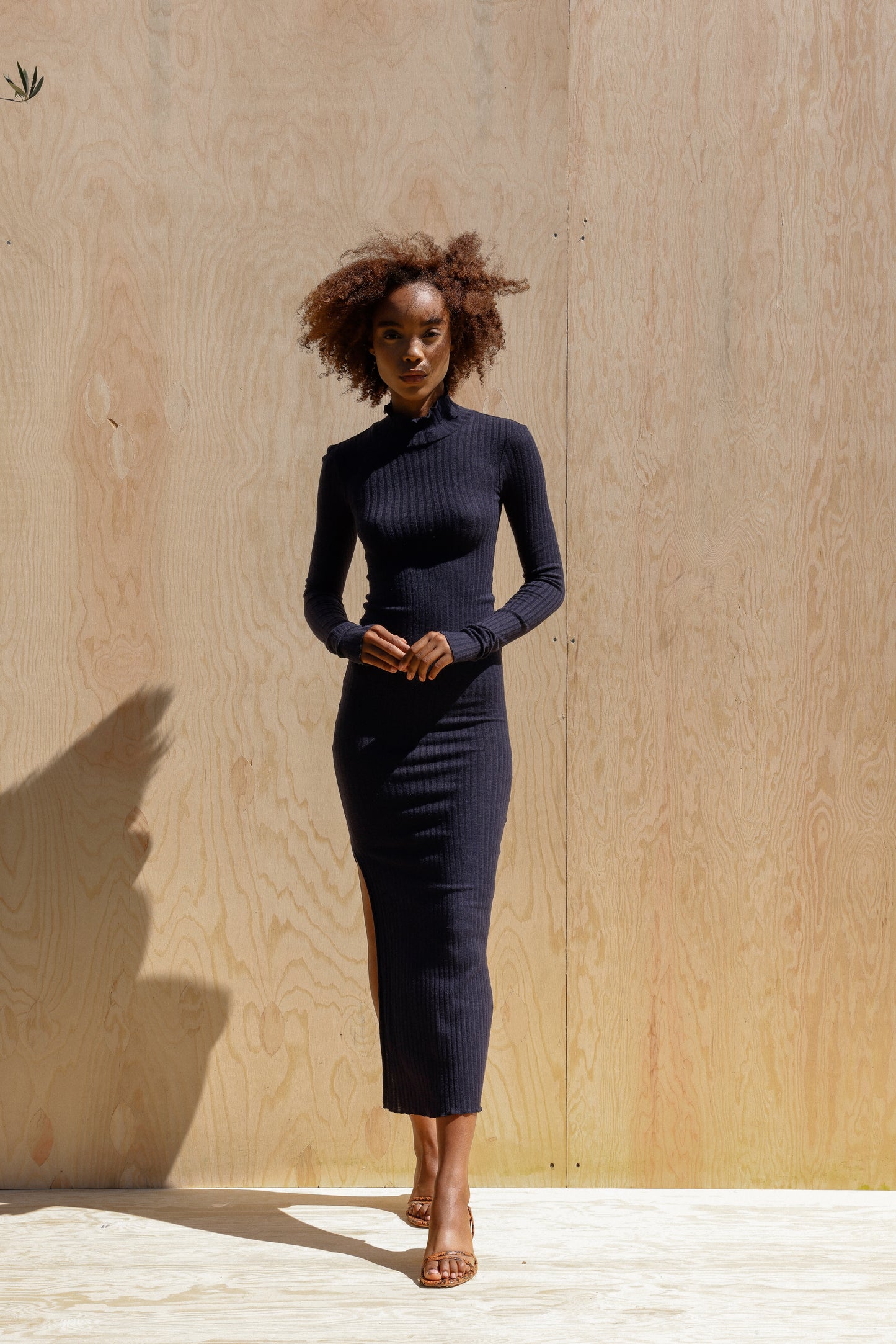 Long Sleeve Turtleneck dress