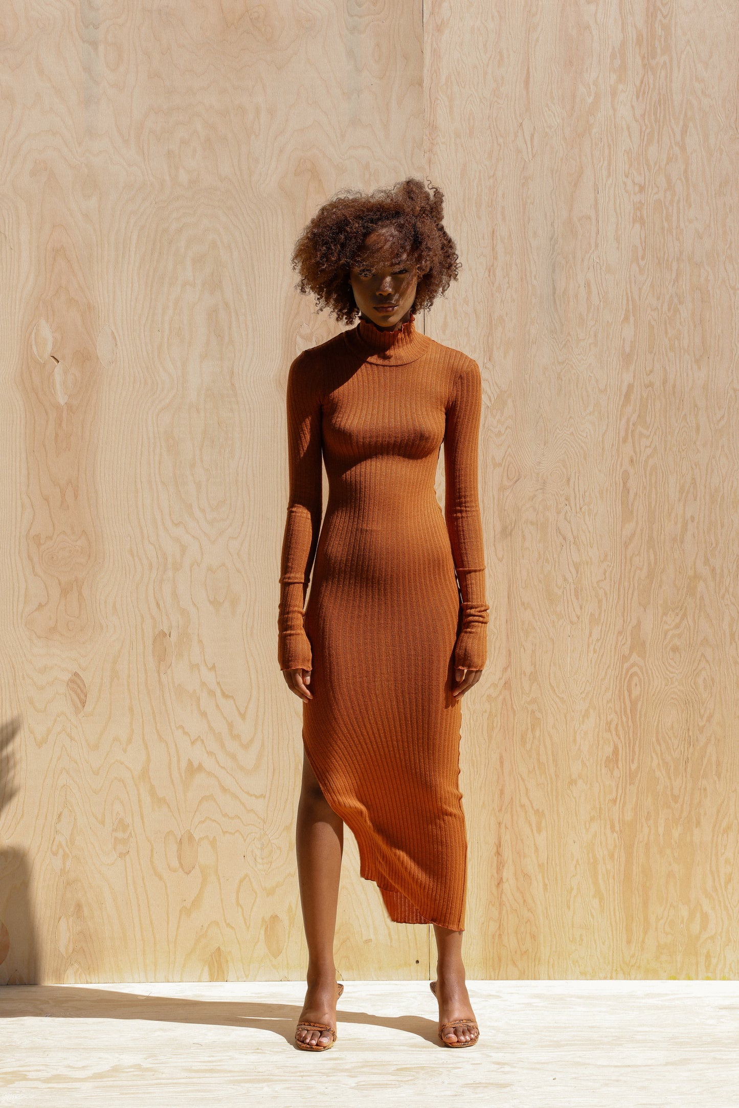 Long Sleeve Turtleneck dress